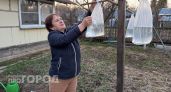 Соседи думали, что я сошла с ума, а теперь тоже так делают: простой пакет с водой спас урожай и увеличил его вдвое