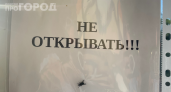 Москитная сетка за 300 рублей на все окна — и никакого сверления: липучка отваливается через сезон, а этот метод работает годами
