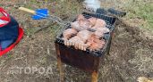 Почему фермеры никогда не берут готовый шашлык в магазине: мерзкие подробности, от которых станет плохо