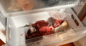 Заморозили — и испортили: 5 продуктов, которые никогда не стоит отправлять в морозилку