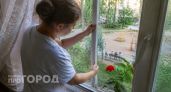 Очищает воздух и снимает стресс: лучший цветок, который должен быть в каждом доме