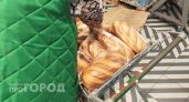 Какой хлеб полезнее: черный или белый - запомните навсегда