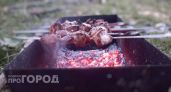Этот рецепт шашлыка заставит всех просить добавки: маринад из ингредиента, который все выбрасывают