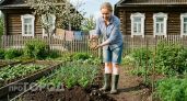 Провернула трюк с будильником - на огороде не осталось ни одного крота: бегут сверкая пятками