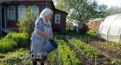 Один стакан в ведро - и сорняки упадут замертво: простейшее средство борьбы