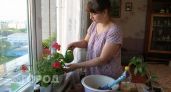 Положите лист герани в карман - вы обомлеете от эффекта