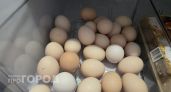 Можно ли есть яйца, в которых есть красные пятна: точный ответ