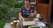 Консервные банки тащу к себе на дачу коробками: столько всего из них можно сделать — теперь ни одна не пропадает
