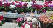 Сентябрь - астры, февраль - фиалки: какие букеты подходят вам по месяцу рождения
