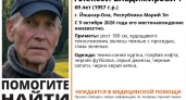 В Йошкар-Оле пропал 69-летний пенсионер