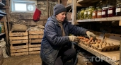 Вечная сырость в погребе исчезла за час: метод, который в деревнях передают из поколения в поколение